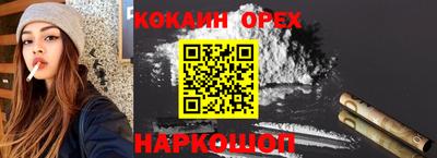 крисы Краснознаменск