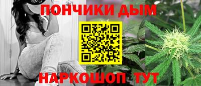 крисы Краснознаменск